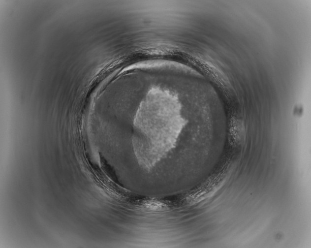 X0000098170547200805081003