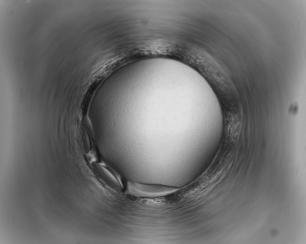 X0000098170548200805081003