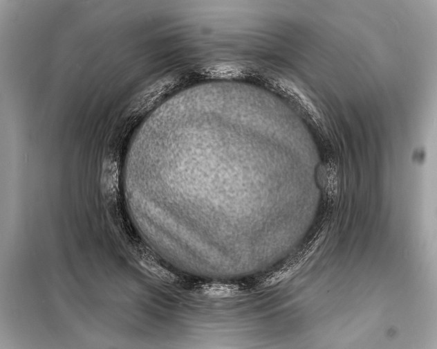 X0000098170549200805081003