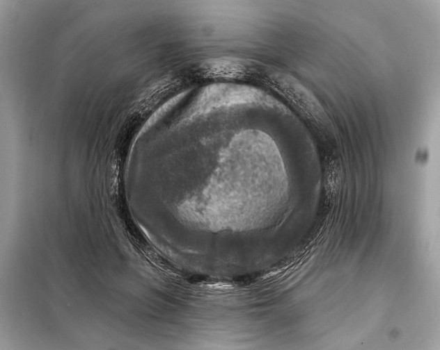 X0000098170551200805081003