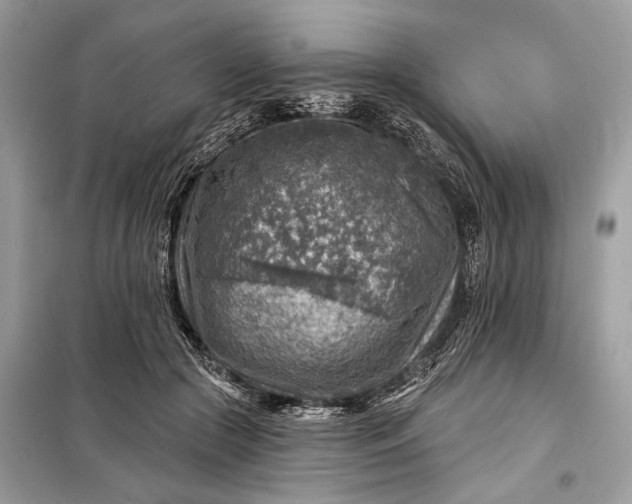 X0000098170553200805081003