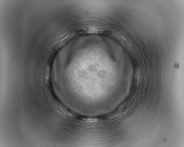 X0000098170554200805081003