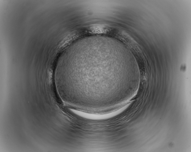 X0000098170556200805081003