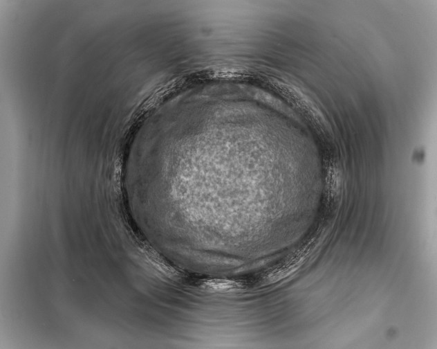 X0000098170557200805081003