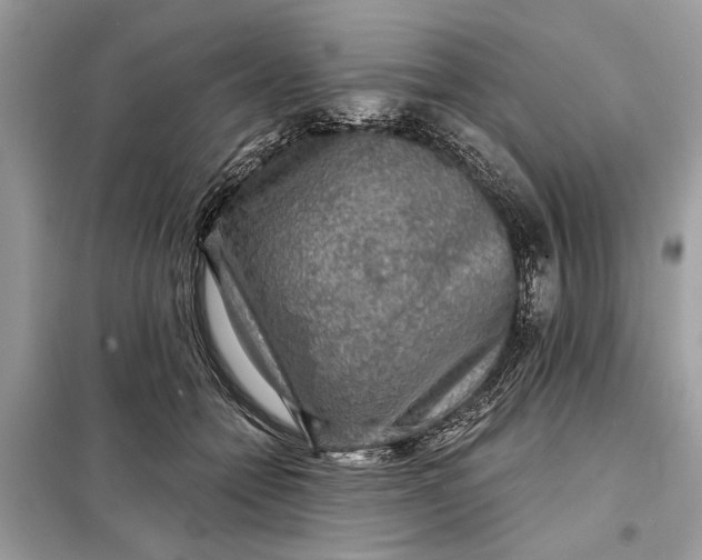 X0000098170558200805081003