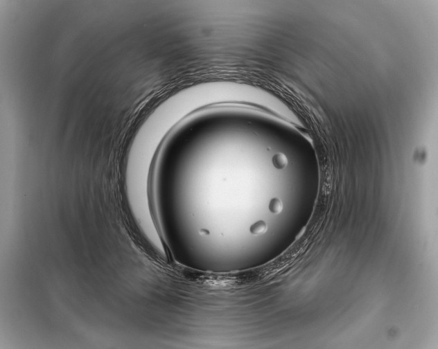 X0000098170560200805081003