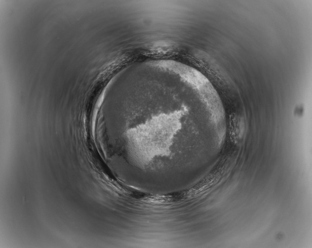 X0000098170563200805081003