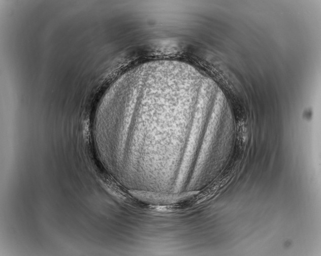 X0000098170564200805081003