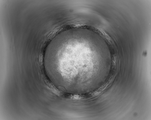 X0000098170565200805081003