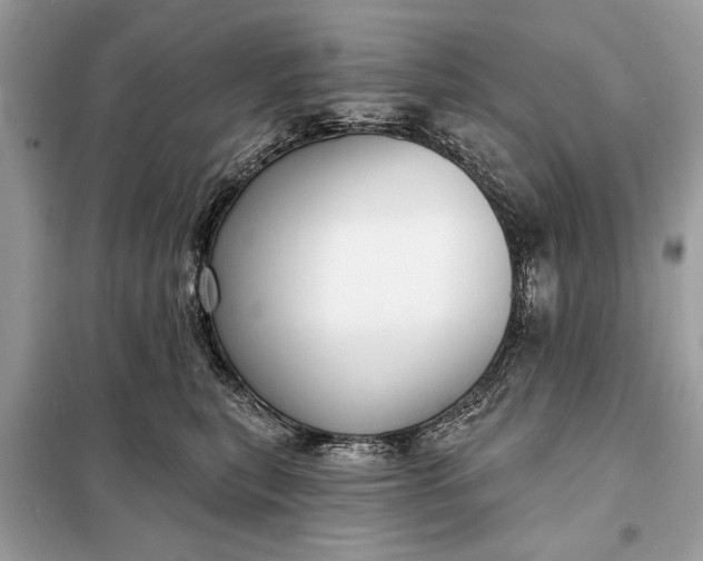 X0000098170567200805081003