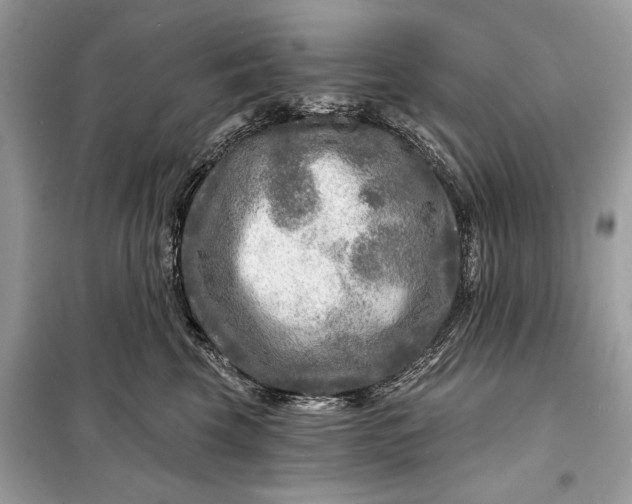 X0000098170569200805081003