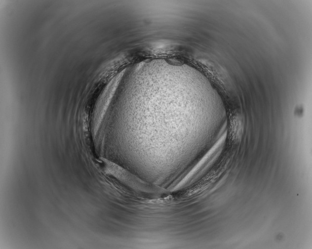 X0000098170571200805081003