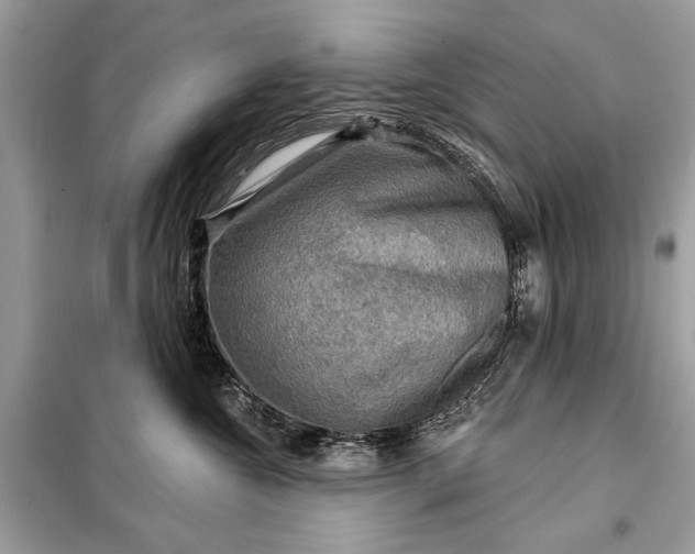 X0000098170572200805081003