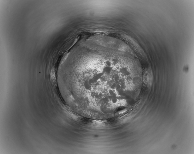 X0000098170573200805081003