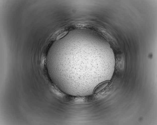 X0000098170574200805081004