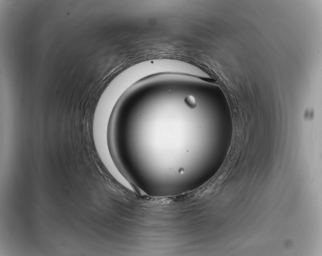 X0000098170576200805081004