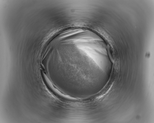 X0000098170577200805081003