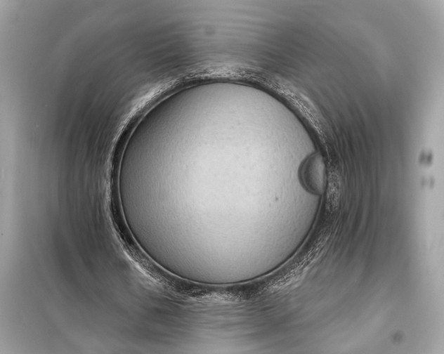 X0000098170578200805081003