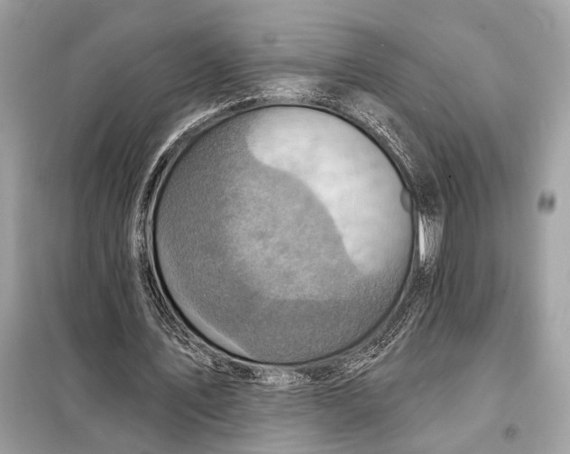 X0000098170579200805081003