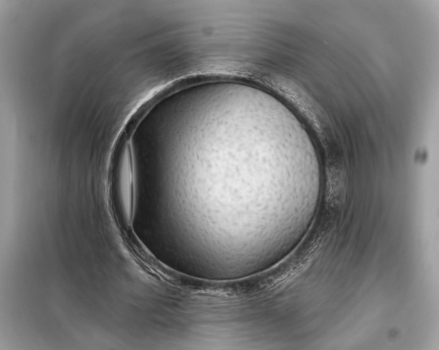 X0000098170580200805081003