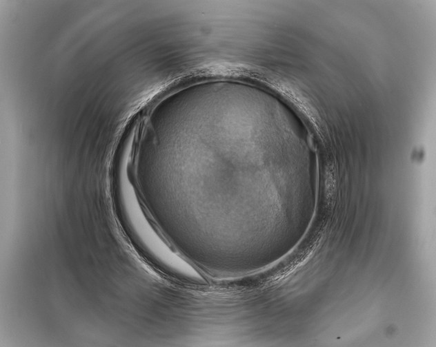 X0000098170581200805081003