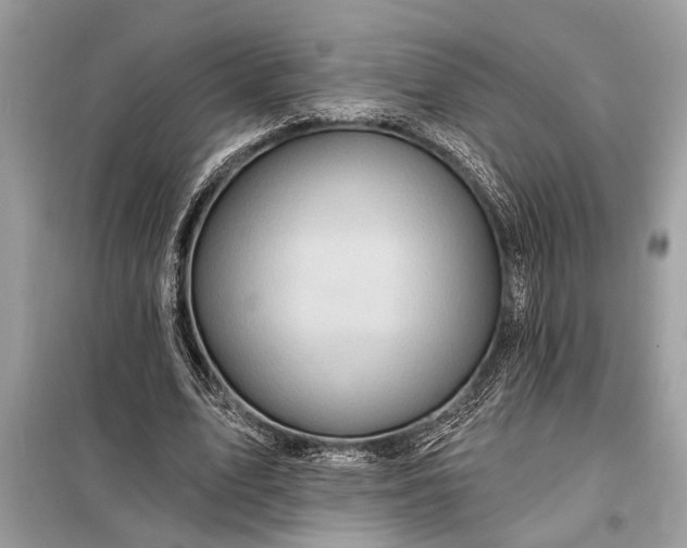 X0000098170583200805081003