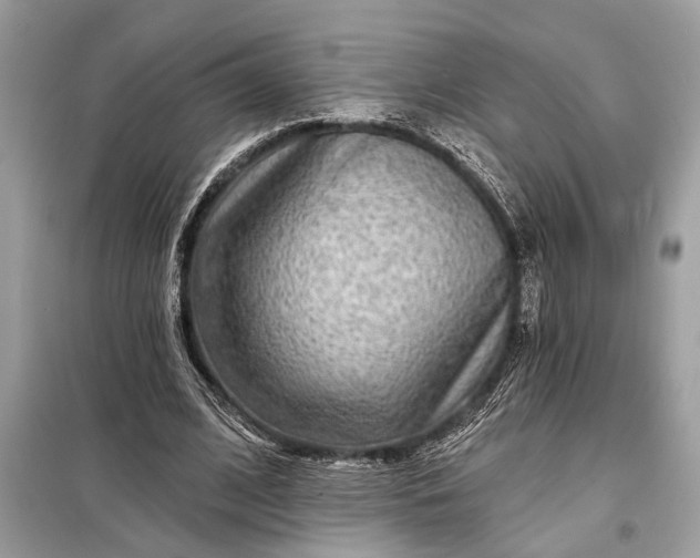 X0000098170584200805081003