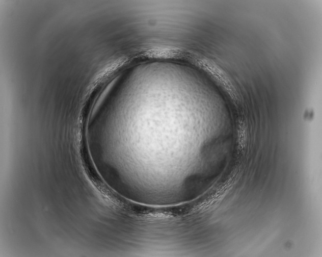 X0000098170586200805081003