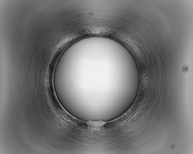 X0000098170587200805081003