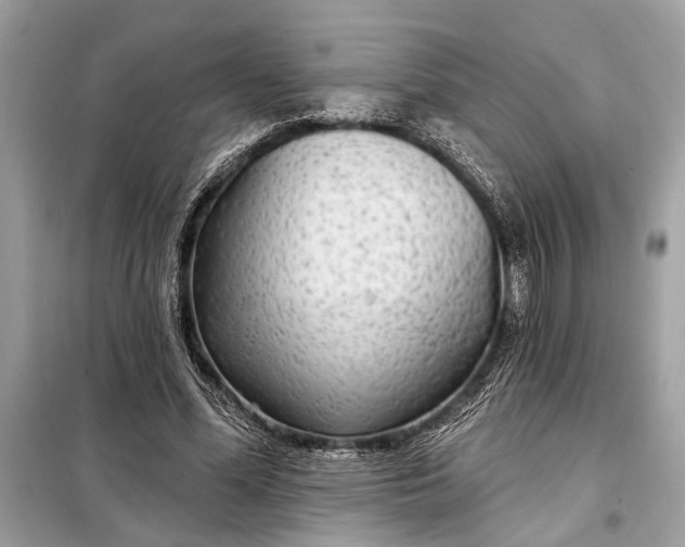 X0000098170588200805081003