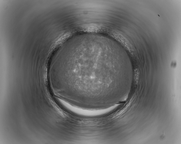 X0000098170589200805081003