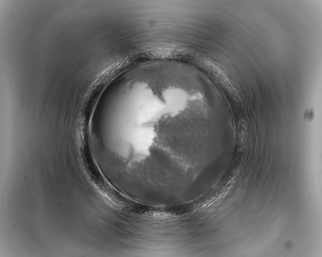 X0000098170590200805081003