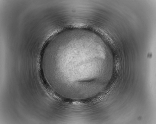 X0000098170591200805081003