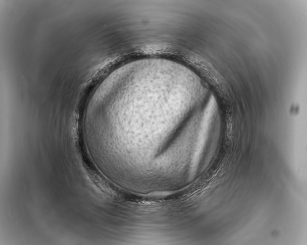 X0000098170592200805081003