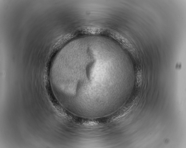 X0000098170594200805081003