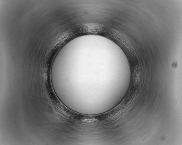 X0000098170595200805081003