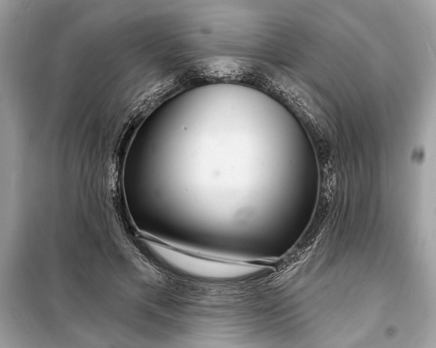 X0000098170597200805081003