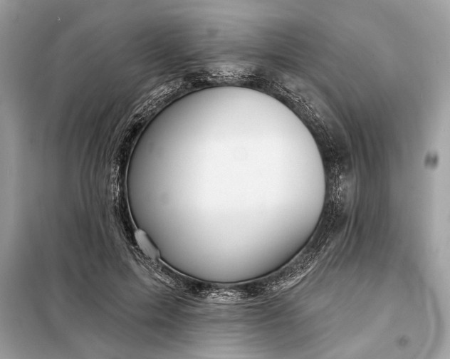 X0000098170599200805081003