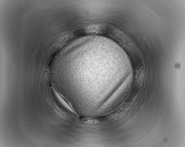 X0000098170601200805081003