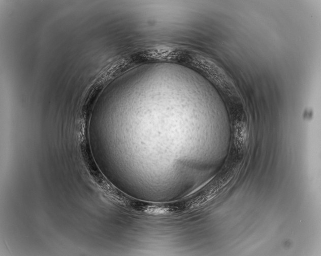 X0000098170602200805081003