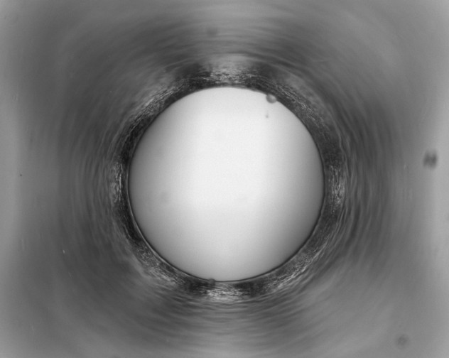 X0000098170603200805081003