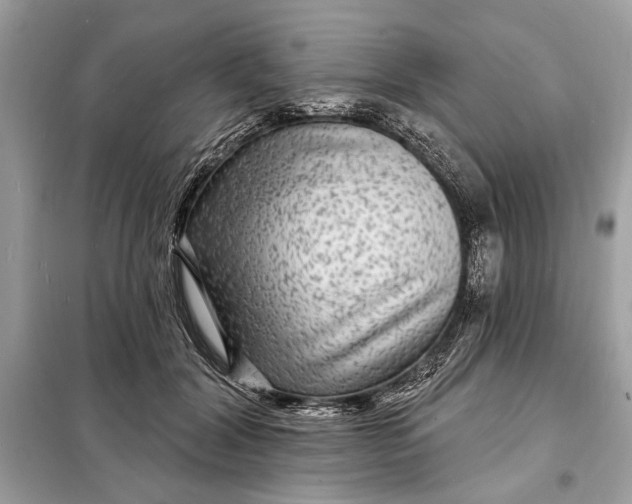 X0000098170604200805081003