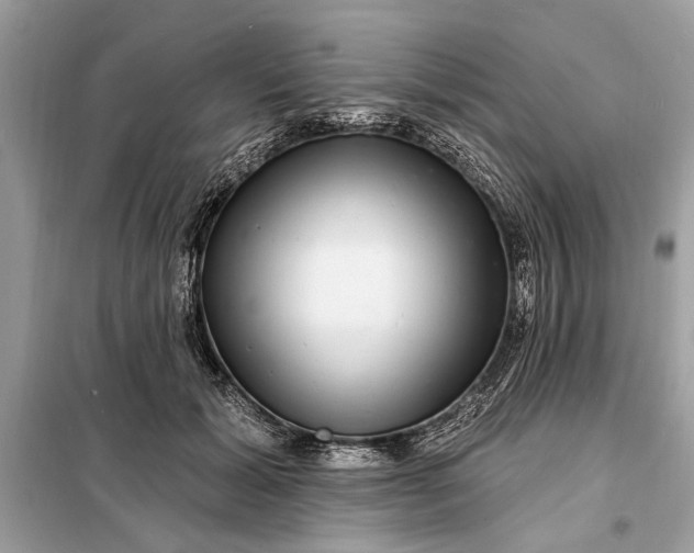 X0000098170605200805081002