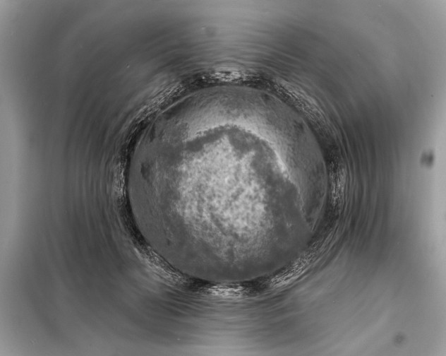 X0000098170606200805081002