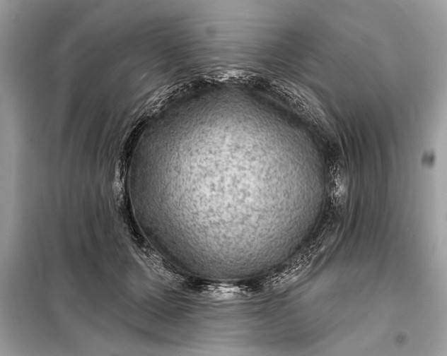 X0000098170607200805081002