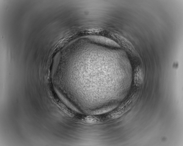 X0000098170608200805081002