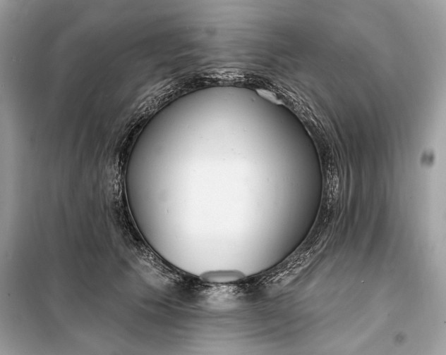 X0000098170609200805081002