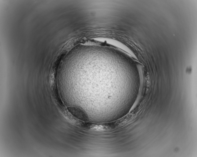 X0000098170611200805081002