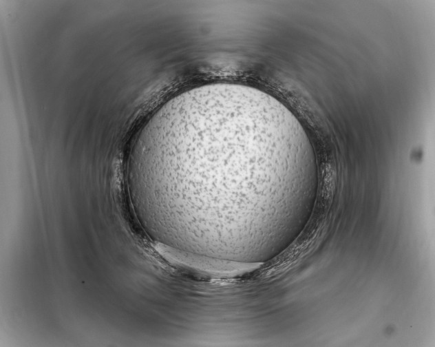 X0000098170612200805081002