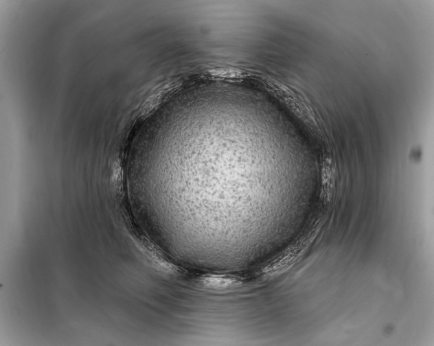 X0000098170614200805081002